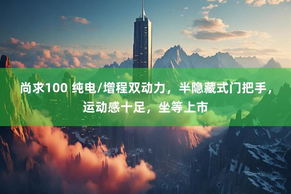 尚求100 纯电/增程双动力，半隐藏式门把手，运动感十足，坐等上市
